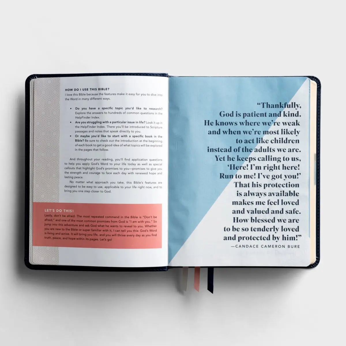 Daysprings NLT One Step Closer Bible