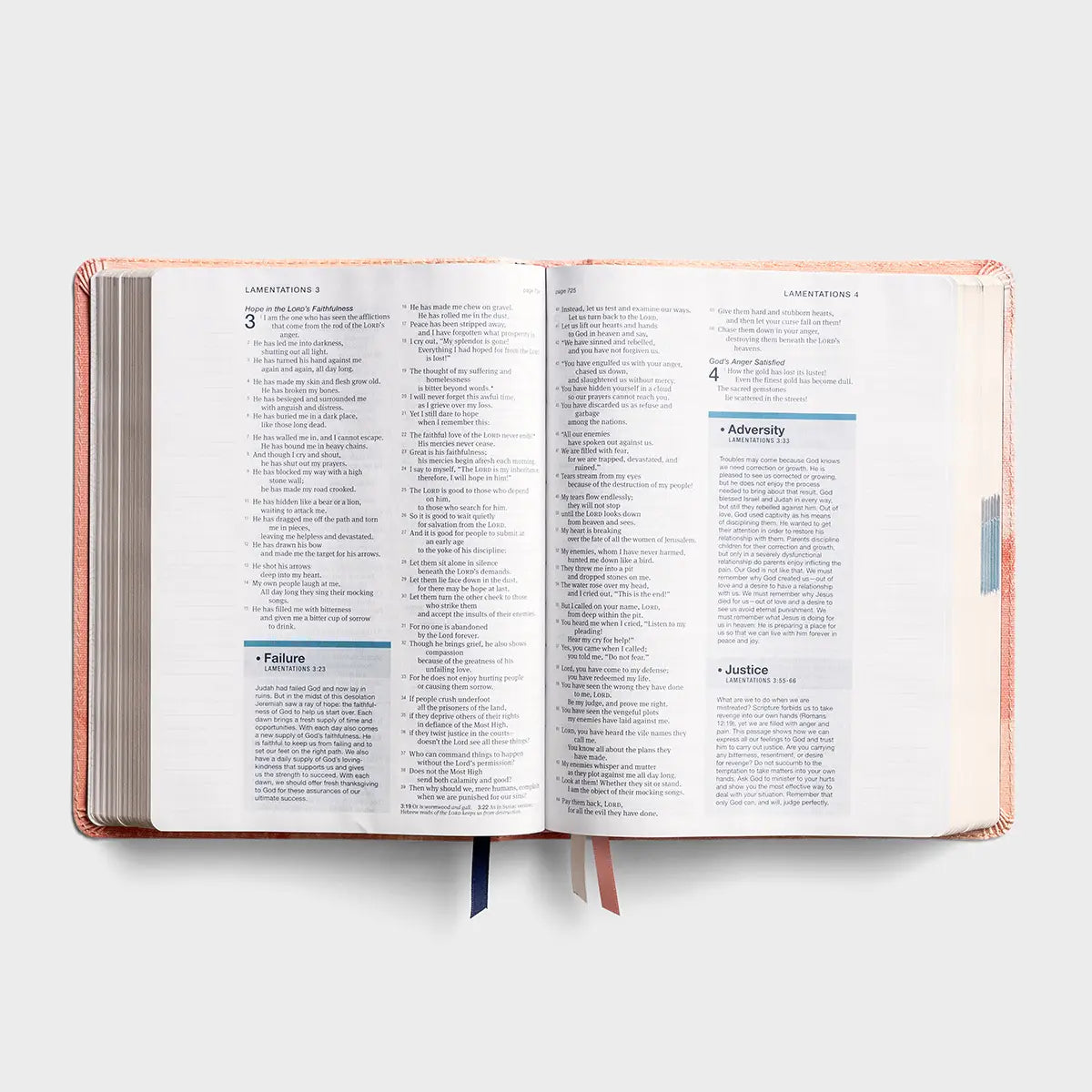 Daysprings NLT One Step Closer Bible