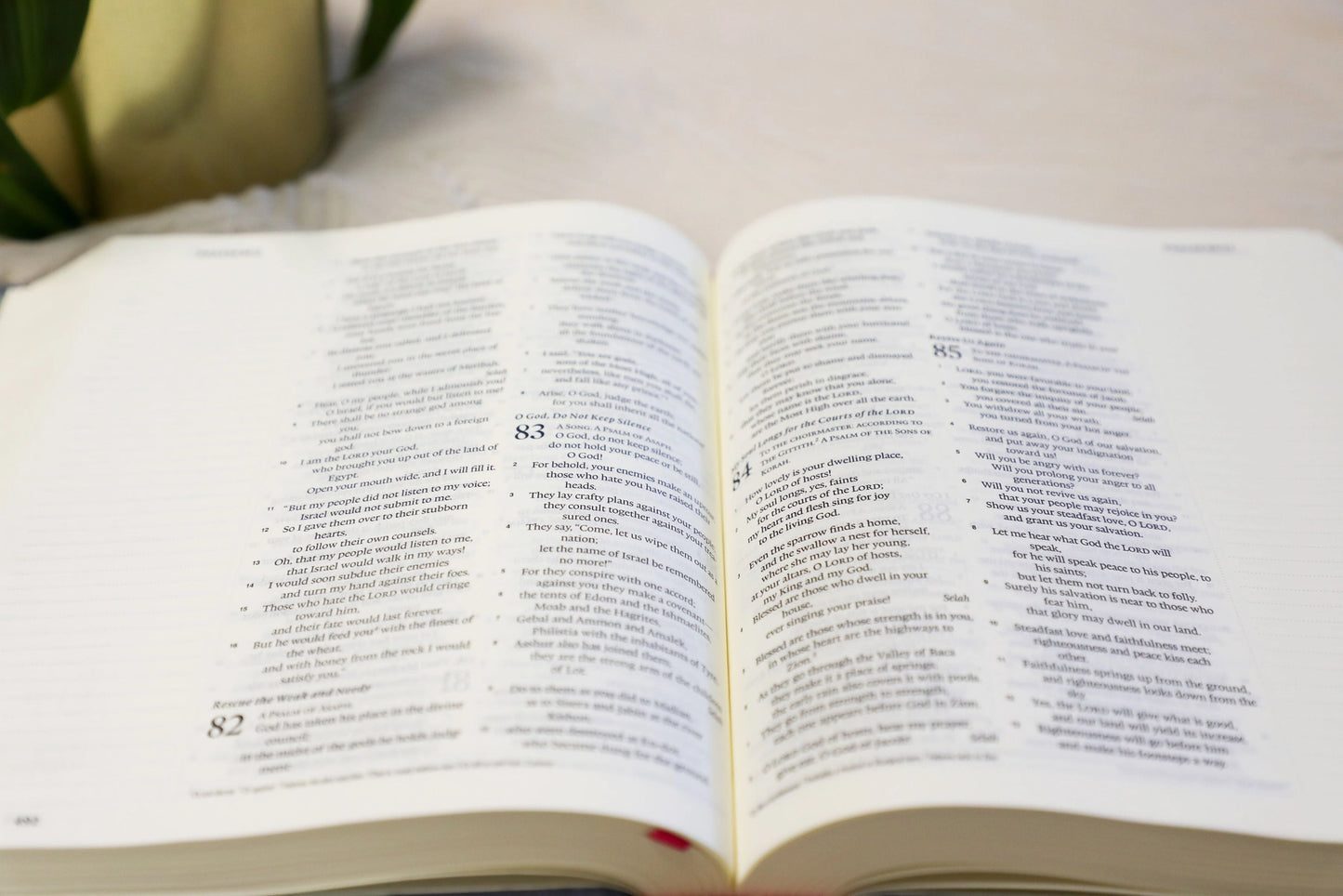 WHEAT AND HONEY CO GOD IS WITHIN HER BIBLE ESV