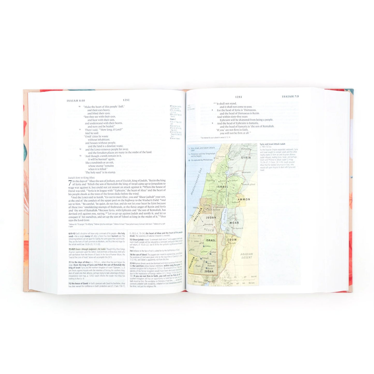 HOSANNA REVIVAL MALORY HOUSE STUDY BIBLE ESV