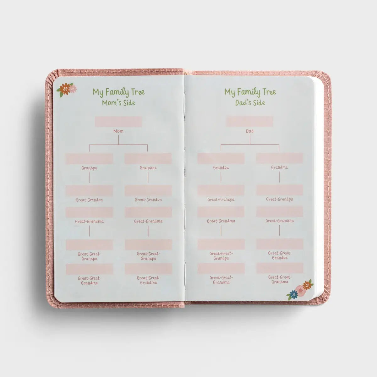 Wonderfully Made Baby's First Bible