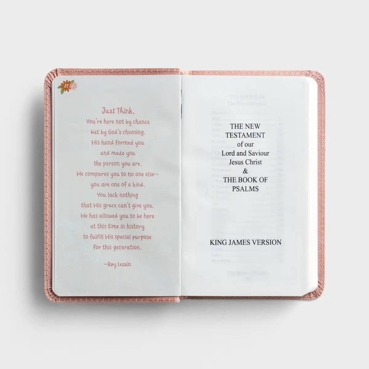 Wonderfully Made Baby's First Bible