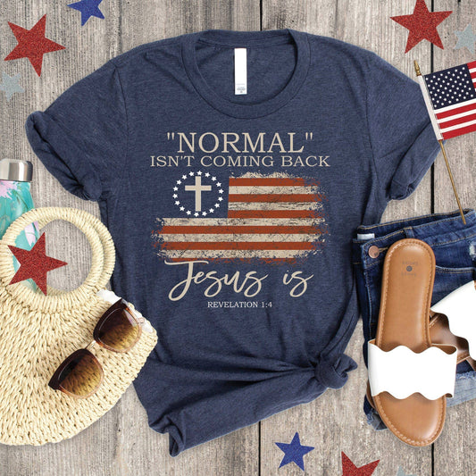 Normal Isn't Coming Back Tee: L / Heather Navy