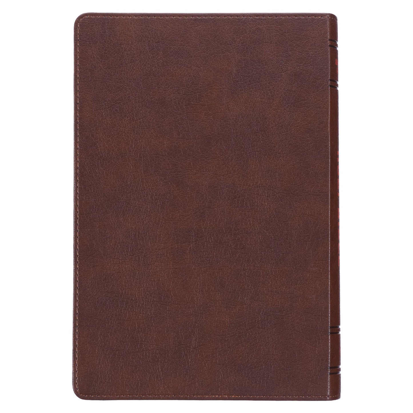 Lion Brown Faux Leather Kid's King James Version Bible