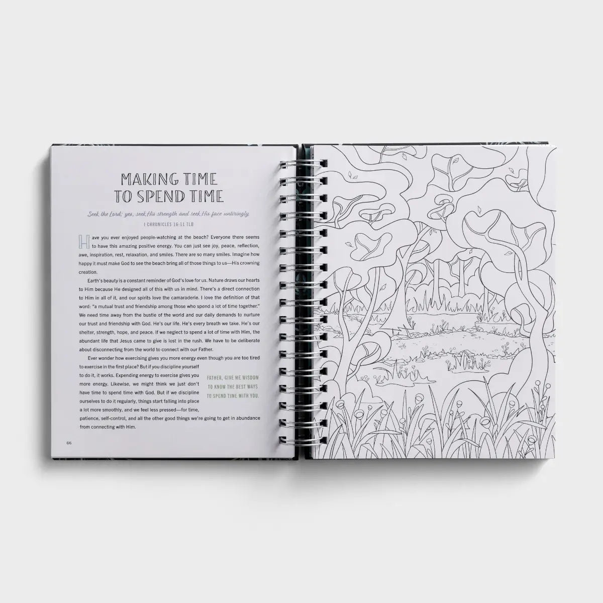 Daysprings Devotional Coloring Book Be Still & Know